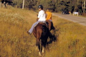 horseback-riding copy